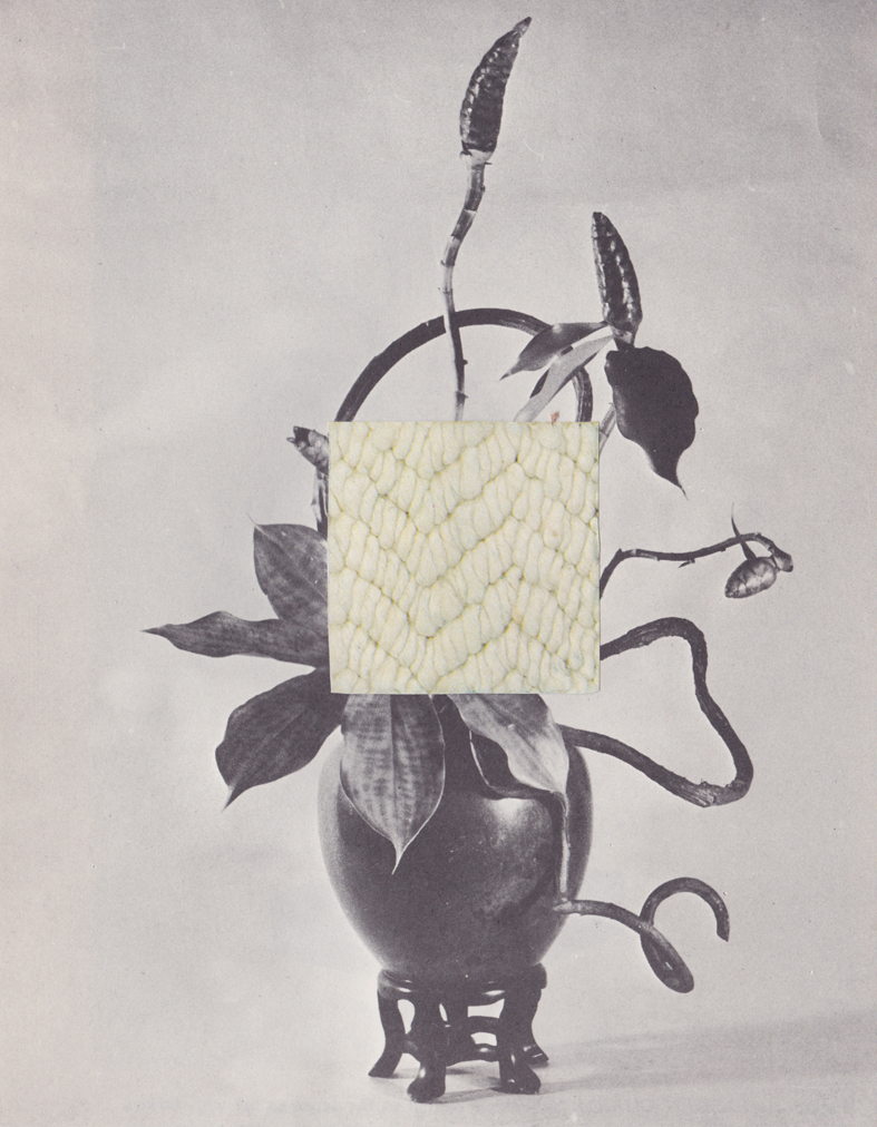 This Knit Goes With This Image