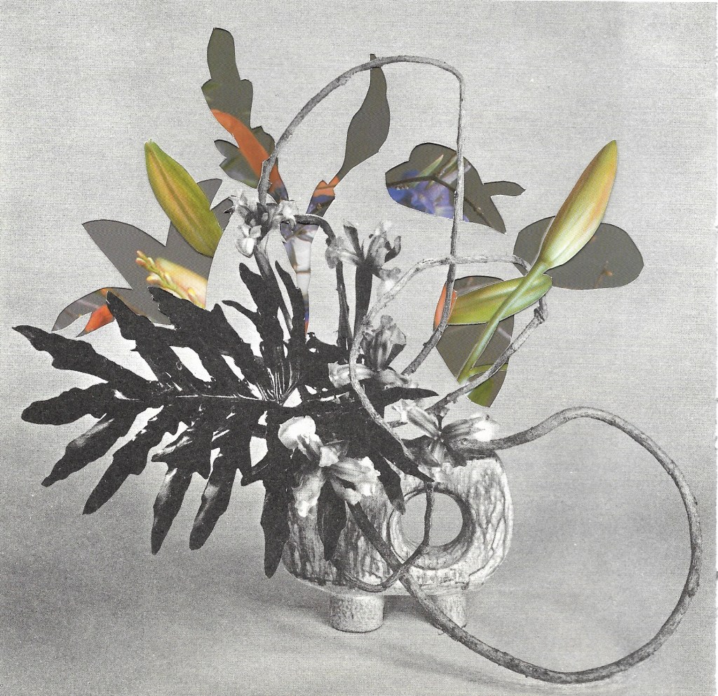 Invasive Species, Collage&nbsp;2019